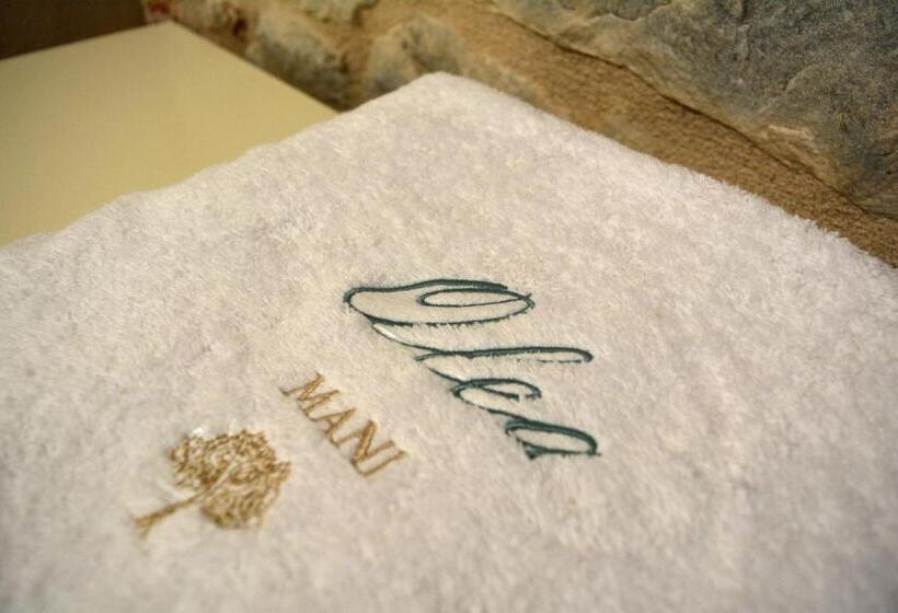 חדר סופריור עם טרסה, Olea