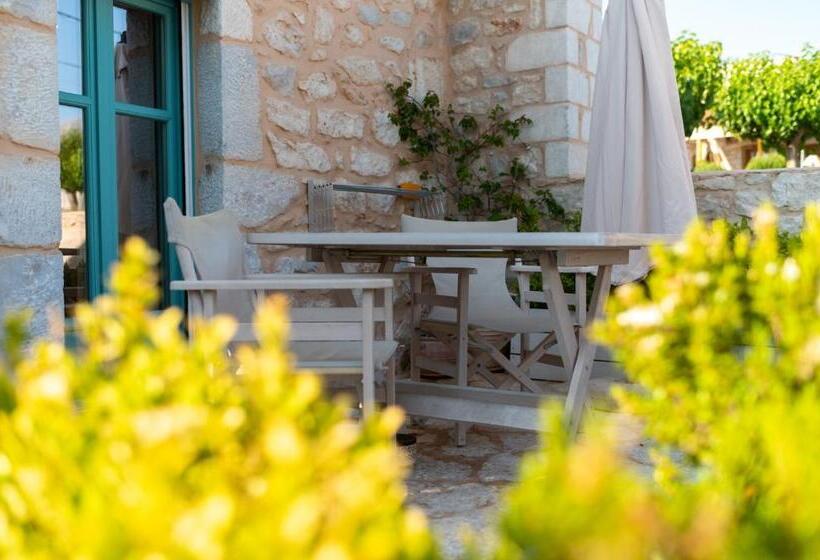 חדר סופריור עם טרסה, Olea