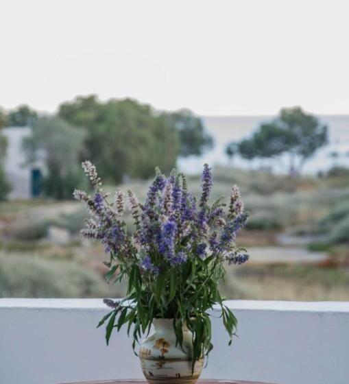 آپارتمان 1 خوابه با چشم‌انداز دریا, Villa Maria