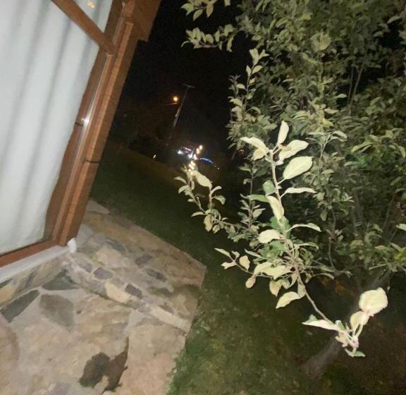 اتاق استاندارد با تخت بزرگ, Snow Hi̇ll House Pansiyon