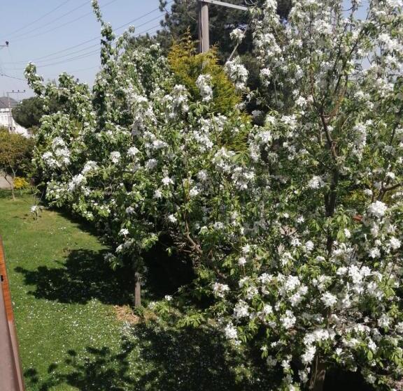 Стандартный Номер Кровать Кинг, Snow Hi̇ll House Pansiyon