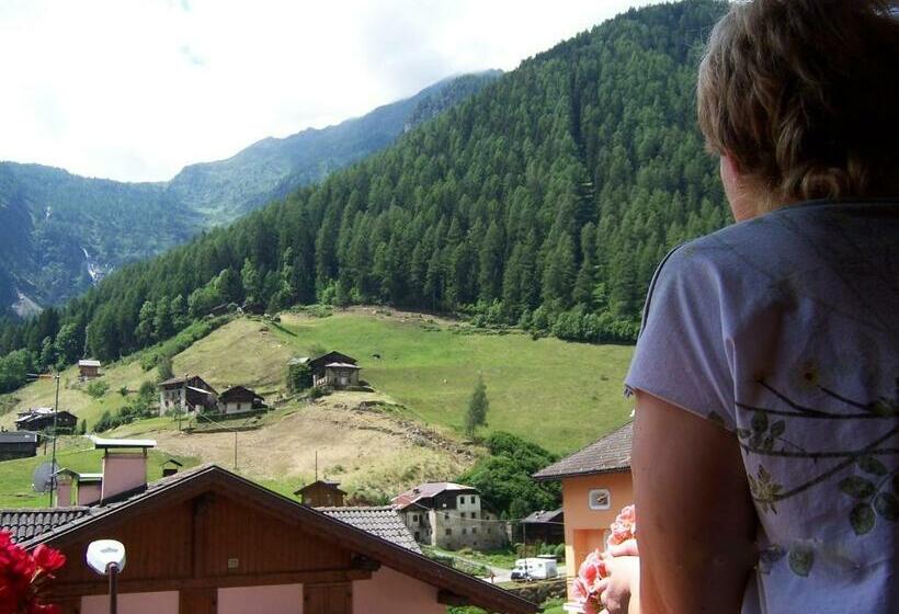 חדר סטנדרט, Alpen Hotel Rabbi