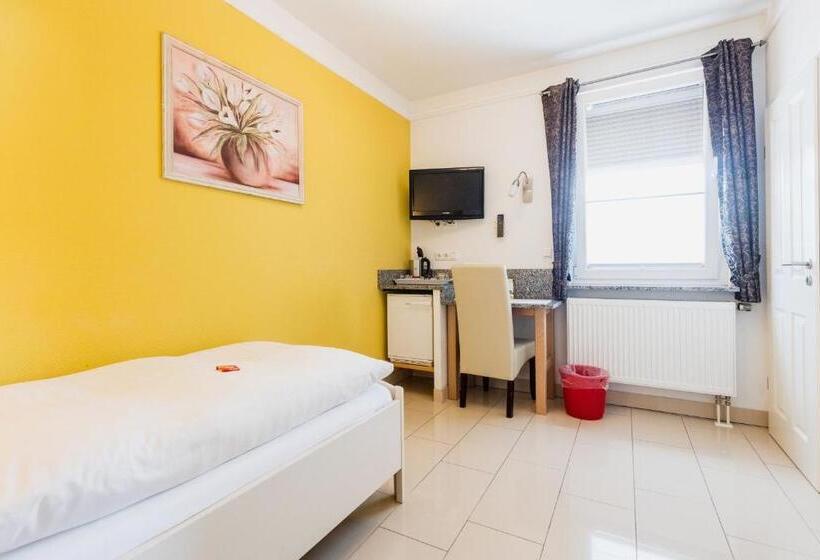 Habitación Estándar Individual, Business Pension Gasper