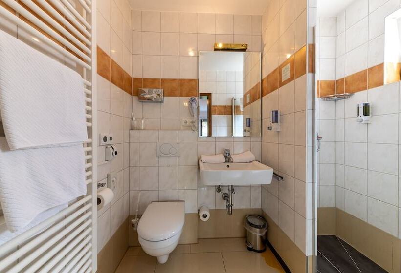 Habitación Estándar, Business Pension Gasper