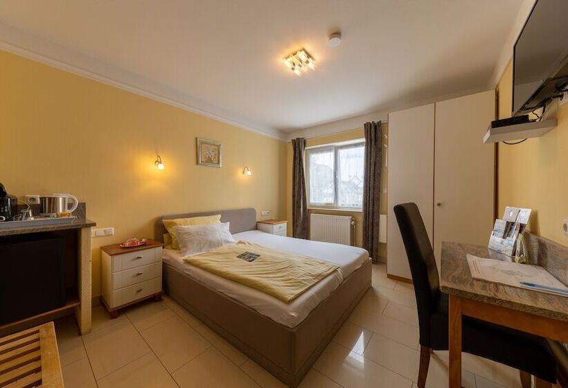 Habitación Estándar, Business Pension Gasper