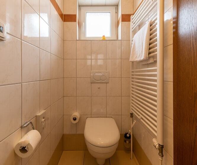 Habitación Estándar Individual, Business Pension Gasper
