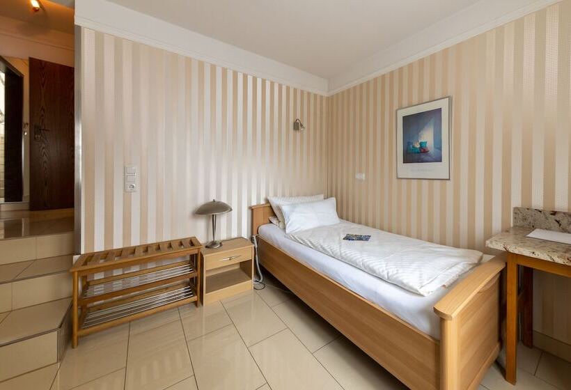 Habitación Estándar Individual, Business Pension Gasper