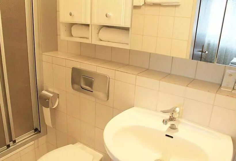 اتاق استاندارد یک نفره, AR Boutique Hotel Heusenstamm