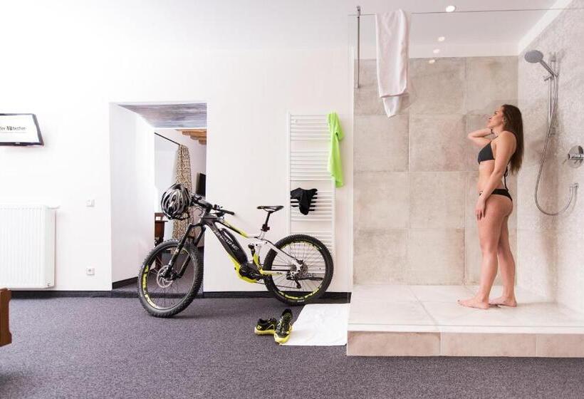 شقة ديلوكس غرفة واحدة, Historic Guesthouse Bircher B&b Apartments By Sterzing