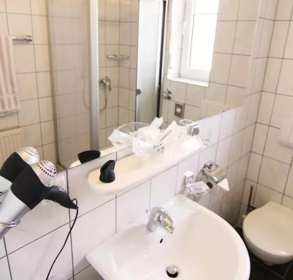 اتاق استاندارد با تخت بزرگ, Residenz Stockstadt