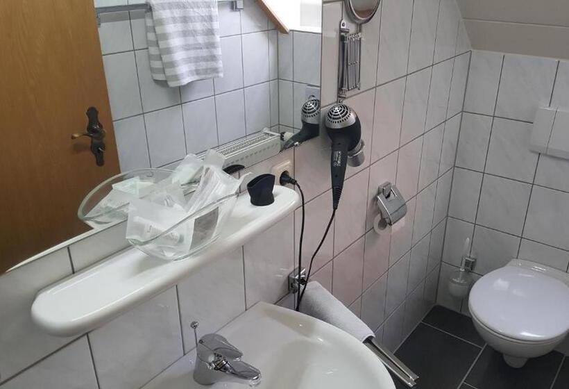 Номер Economy Индивидуальный, Residenz Stockstadt