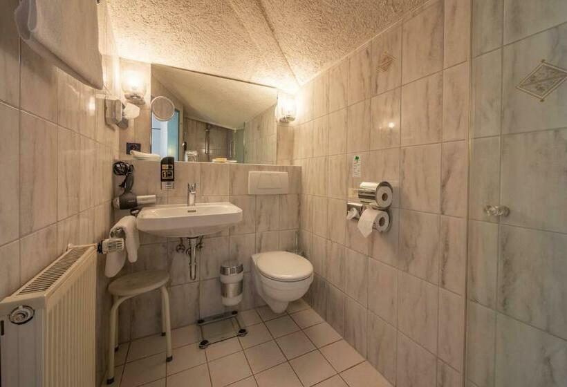 Номер Стандарт Индивидуальный, Parkhotel Obertshausen