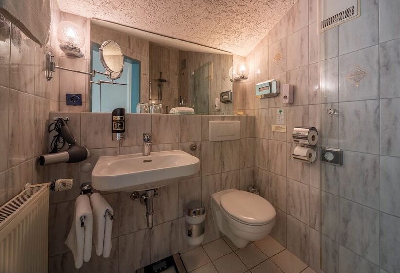 스탠다드 룸, Parkhotel Obertshausen