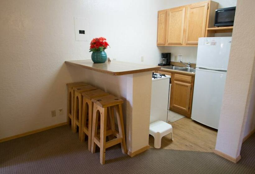 شقة غرفة واحدة, Thunderbird Lodge