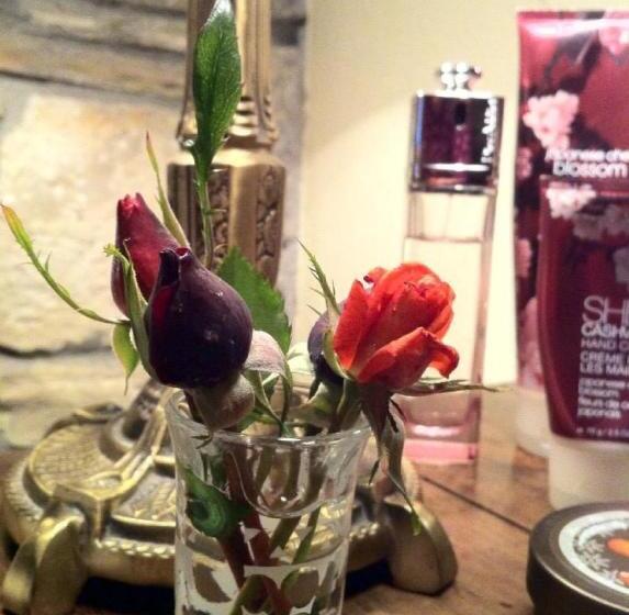 اتاق لوکس با تخت بزرگ, Kamarca House