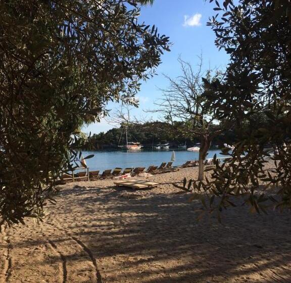 اتاق لوکس با تخت بزرگ, Kamarca House