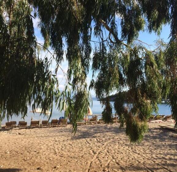 اتاق لوکس با تخت بزرگ, Kamarca House