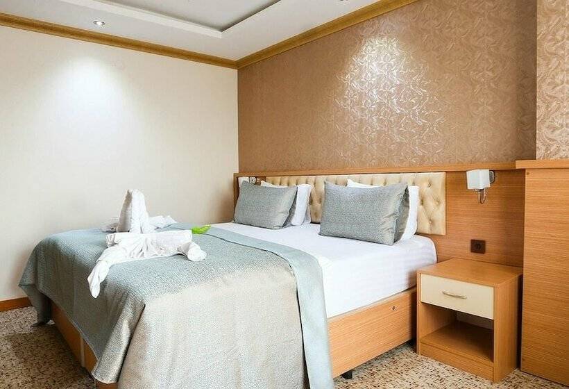 Quarto Standard para Deficientes, Grand Pasabey Otel