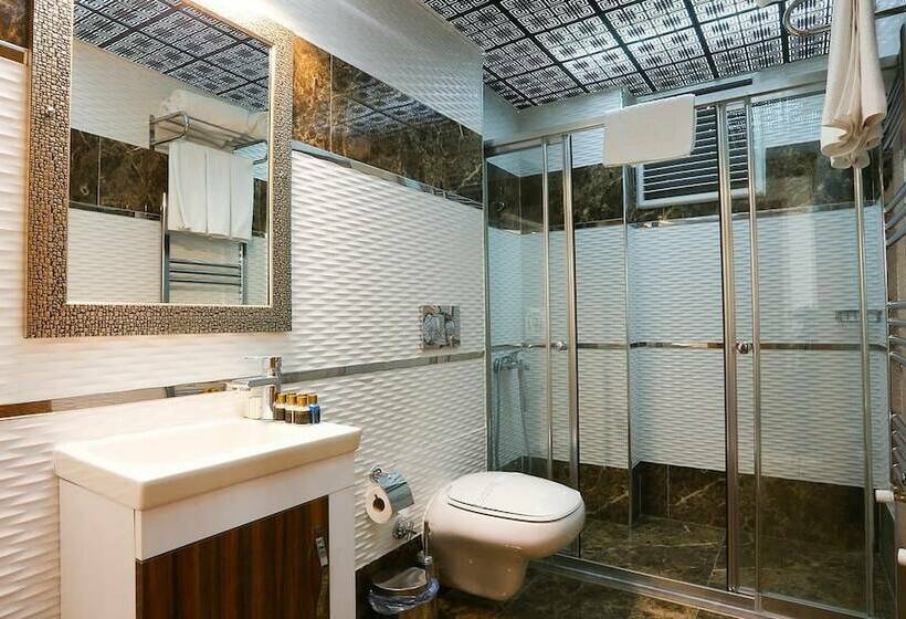 Quarto Standard para Deficientes, Grand Pasabey Otel