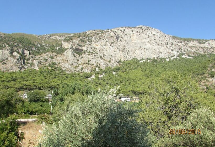 Номер Стандарт Трехместный, Marti Pansiyon