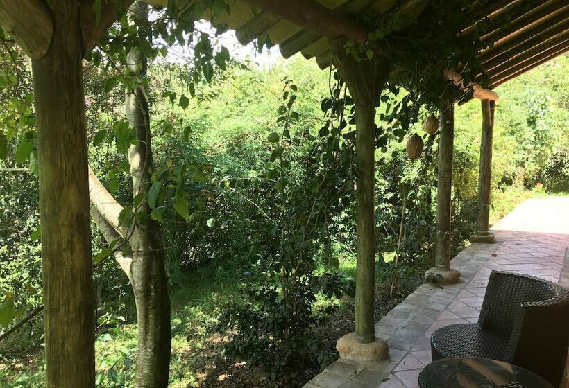 خانه 1 خوابه, Passadhi Guesthouse