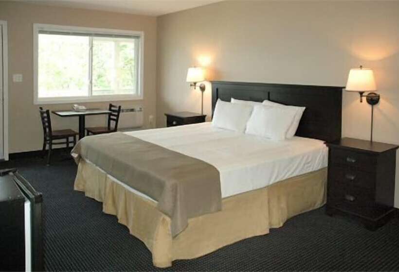 带2个双人床的标准工作室, The Beach Inn Motel