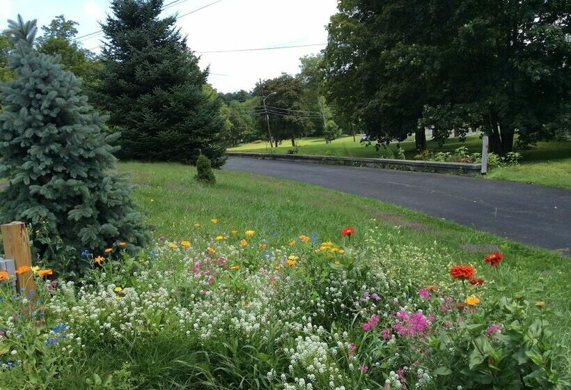 חדר סטנדרט חדר אמבטיה משותף, Georgian Garden Inn