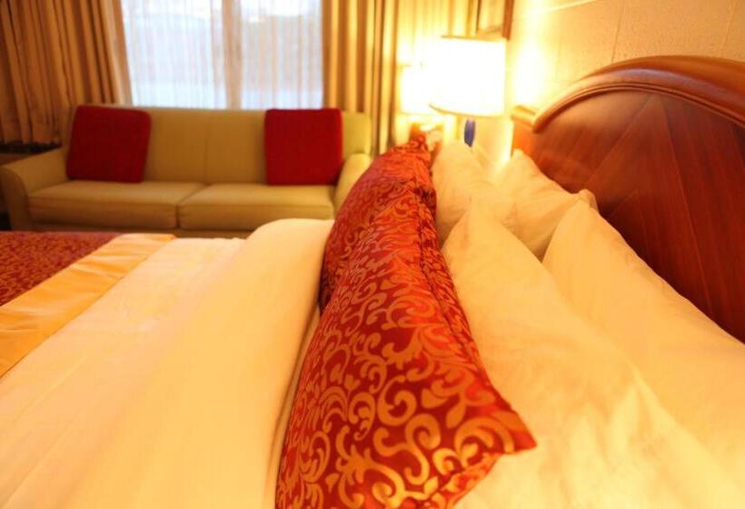 غرفة قياسية, Arcadia