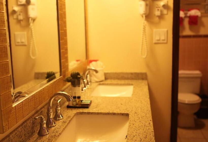 غرفة سوبيريور, Arcadia