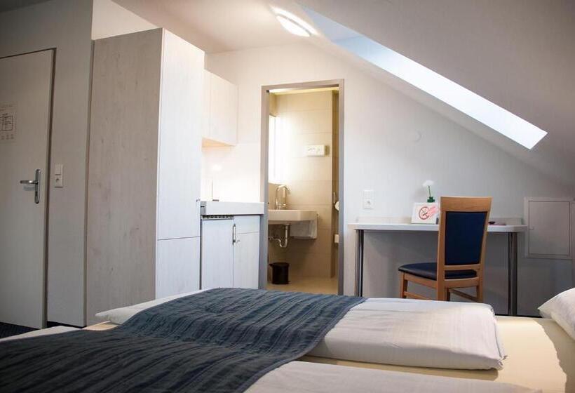 标准间, Pension Vicus