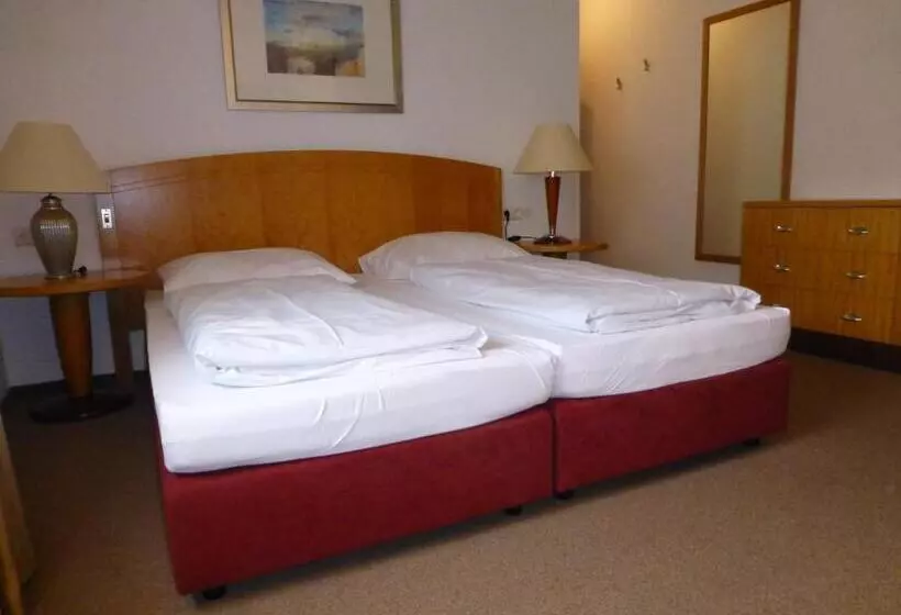 Camera Standard, Bed & Breakfast Bulligan