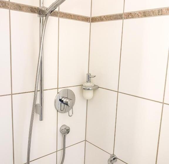 Номер Deluxe, Birkenhof