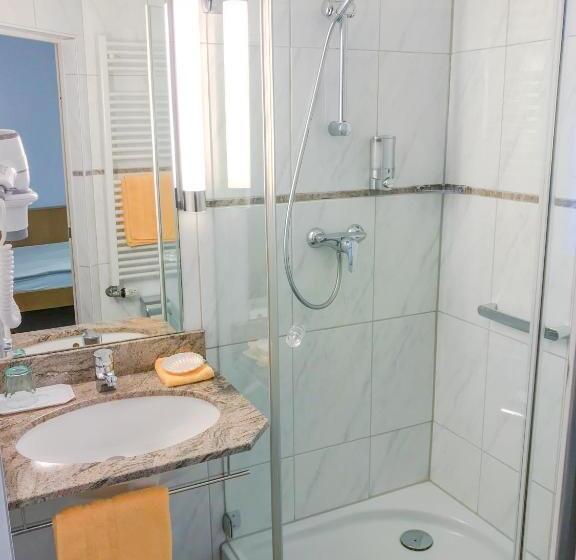 Номер Economy Индивидуальный, Birkenhof