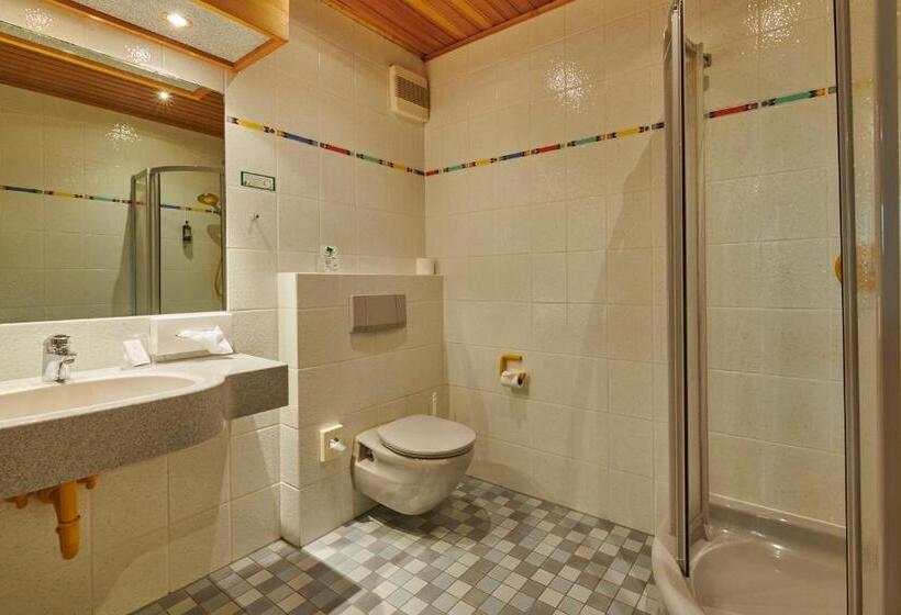 غرفة قياسية, & Brauereigasthof Drei Kronen