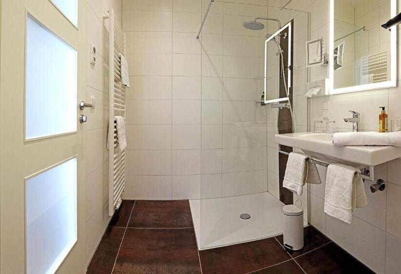 غرفة قياسية, & Brauereigasthof Drei Kronen