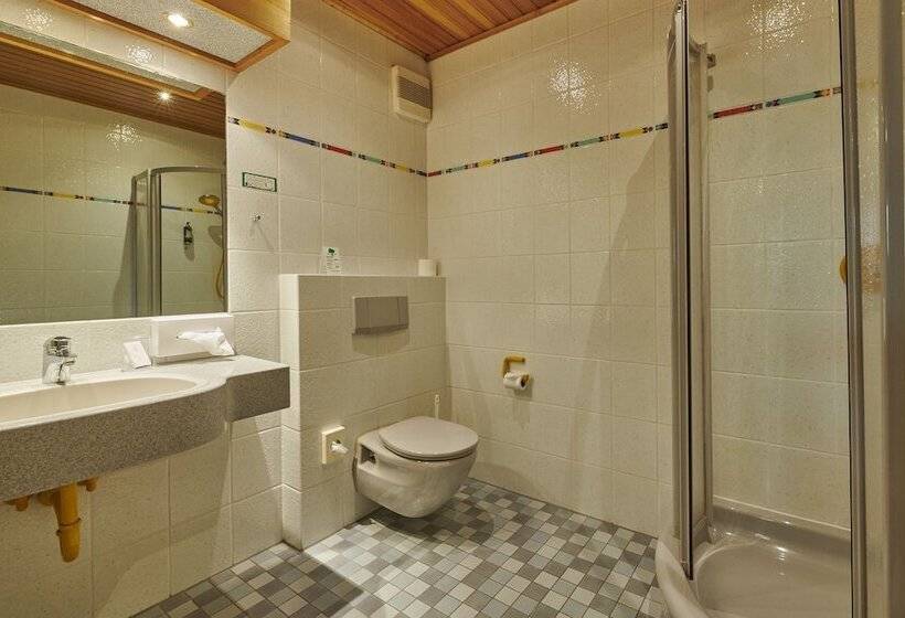 غرفة قياسية, & Brauereigasthof Drei Kronen