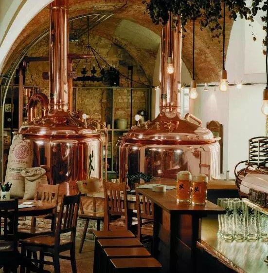 テラス付きスタンダードルーム, Griesbräu Zu Murnau