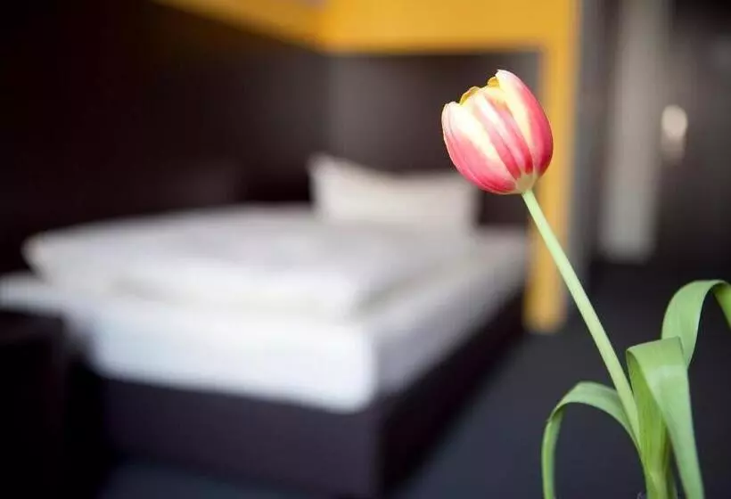 اتاق استاندارد یک نفره, Gs Hotel Mindelheim