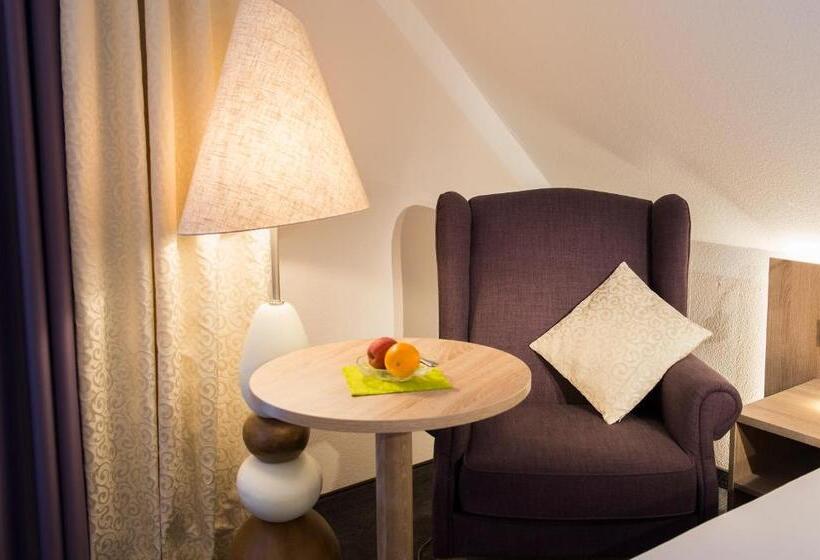 스탠다드 싱글 룸, Schwarzwaldhof