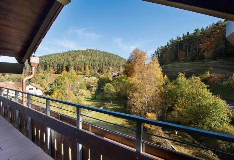 수피리어 룸, Schwarzwaldhof