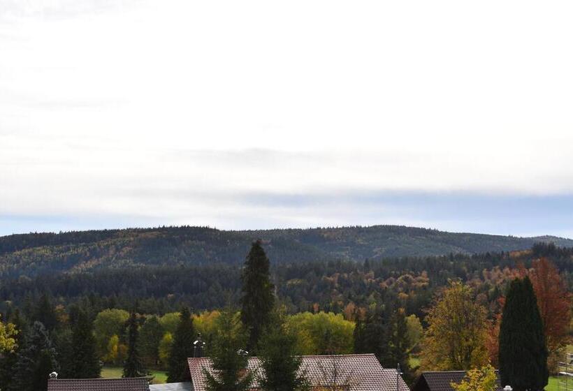 带阳台的三人标准间, Talblick