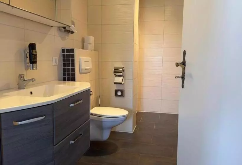 1 Bedroom Apartment, Wernerwald