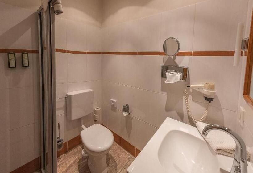 스탠다드 싱글 룸, Struck Landhotel & Spa