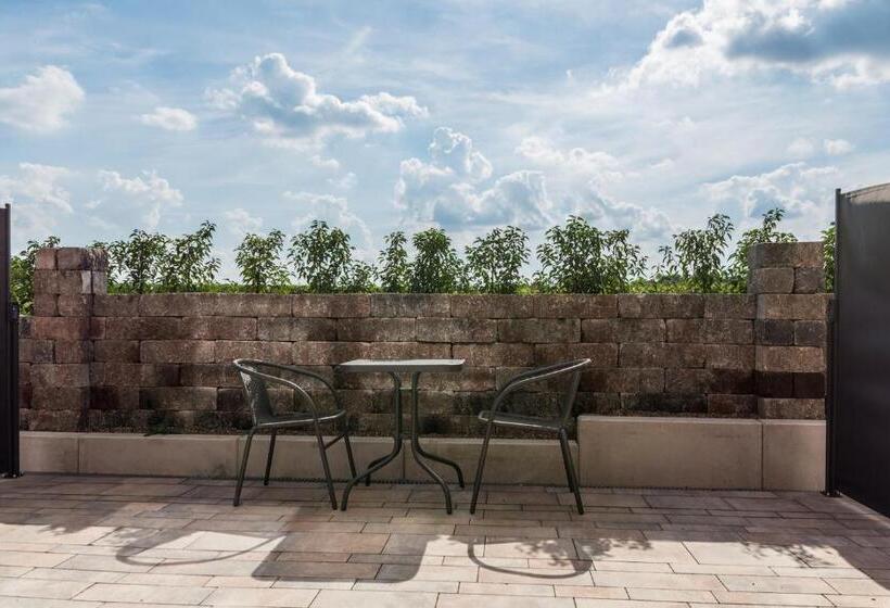 标准间带露台, Waldhotel Zum Bergsee Damme