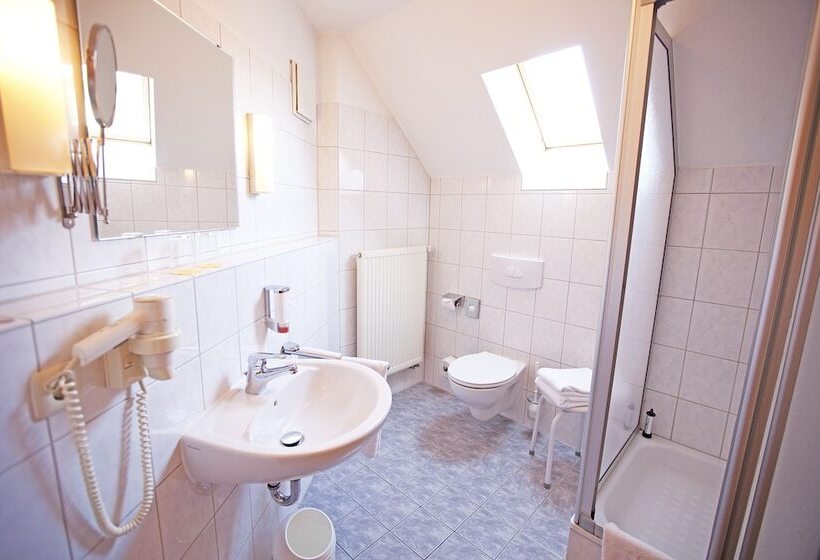 Номер Стандарт Индивидуальный, Goldener Adler Garni