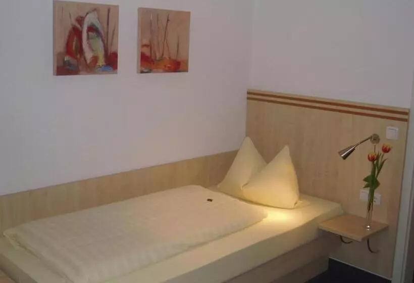 Quarto standart individual, Hasi S