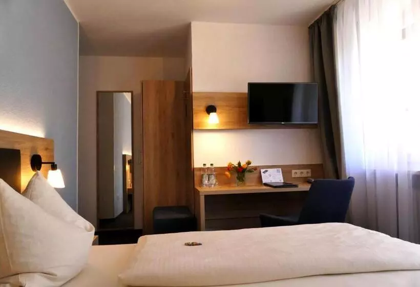 Quarto standard, Hasi S