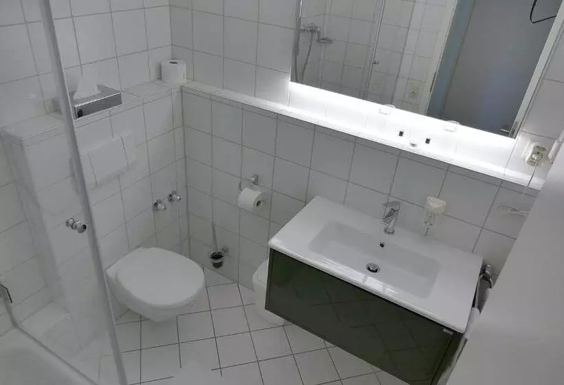 Quarto standard, Hasi S