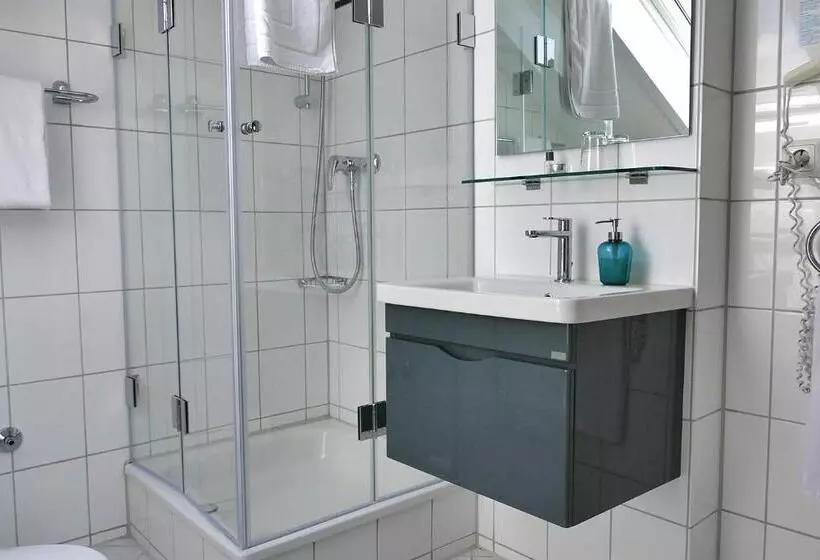 Quarto standard, Hasi S