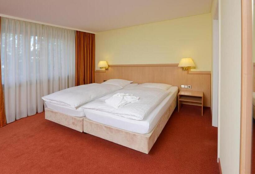 스탠다드 룸, Sonne Eintracht Achern